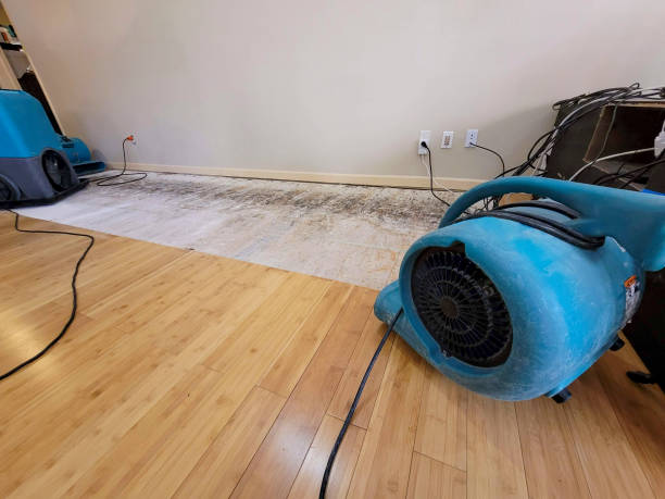 Professional Sewage Cleanup technician working in Paxton, IL